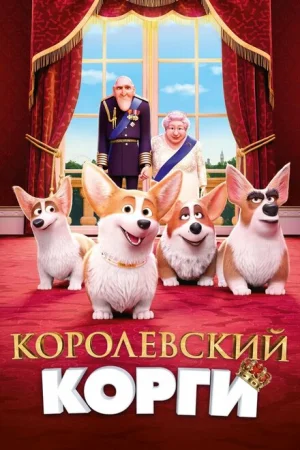  Королевский корги 