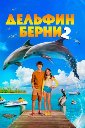  Дельфин Берни 2 