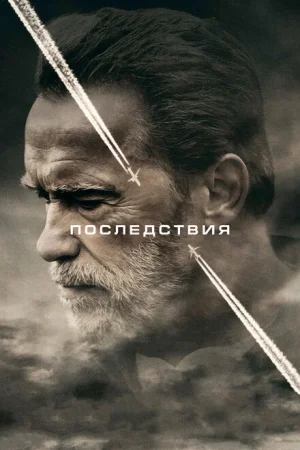  Последствия 